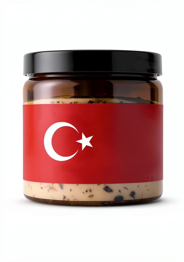 Turkish Language Guide Learn Fast for Travelers 294 Page Kindle eBook-0